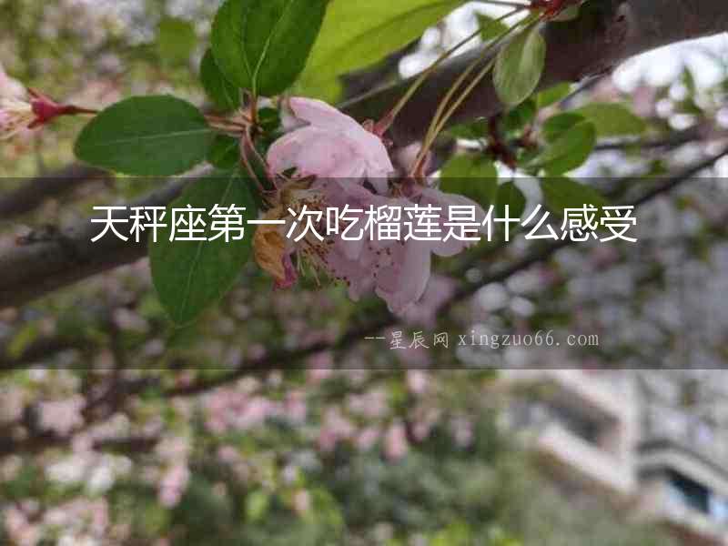 天秤座第一次吃榴蓮是什么感受