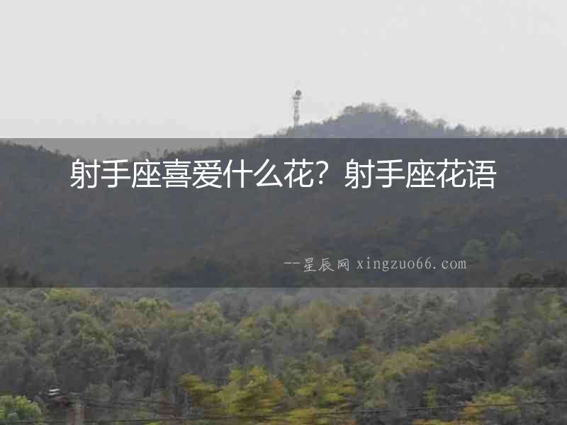 射手座喜愛什么花？射手座花語