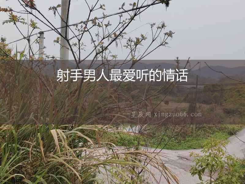 射手男人最愛聽的情話