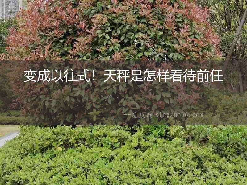 變成以往式！天秤是怎樣看待前任