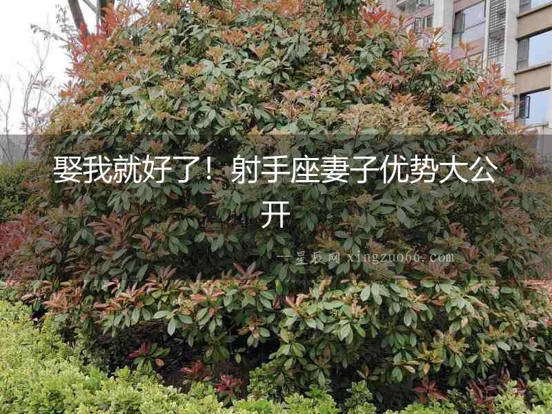 娶我就好了！射手座妻子優(yōu)勢大公開