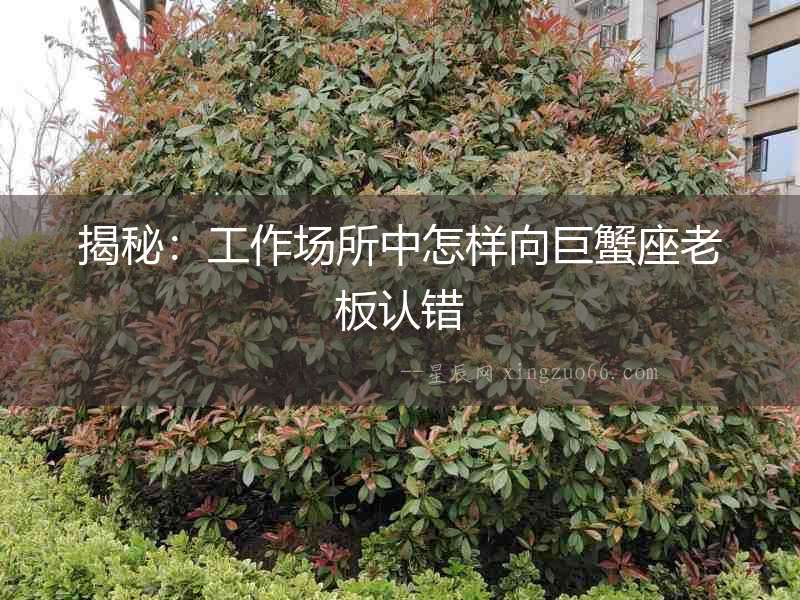 揭秘：工作場所中怎樣向巨蟹座老板認錯