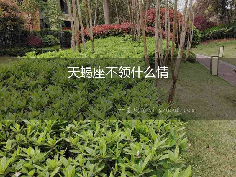 天蝎座不領什么情