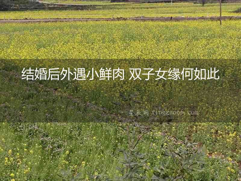 結婚后外遇小鮮肉 雙子女緣何如此