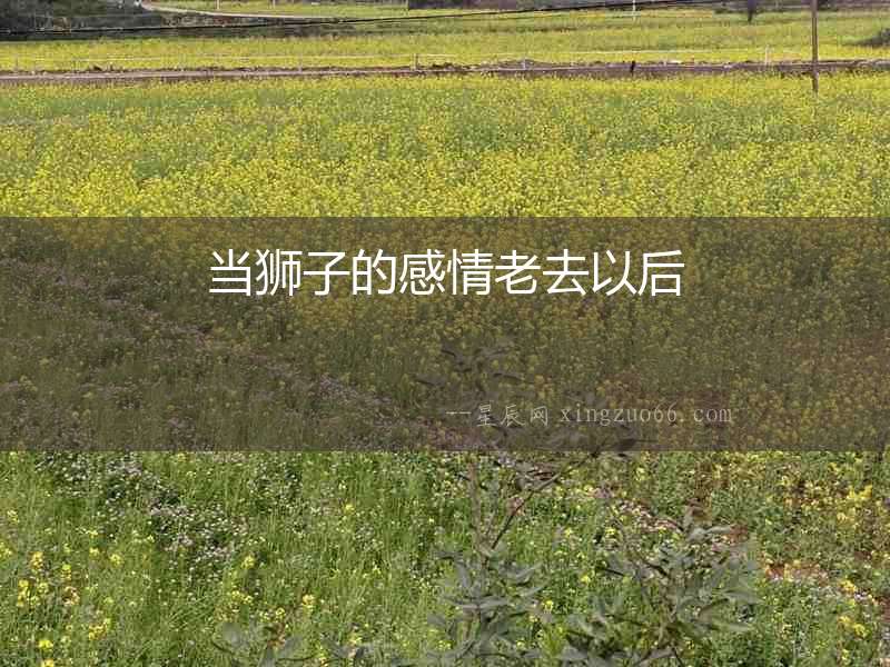 當獅子的感情老去以后