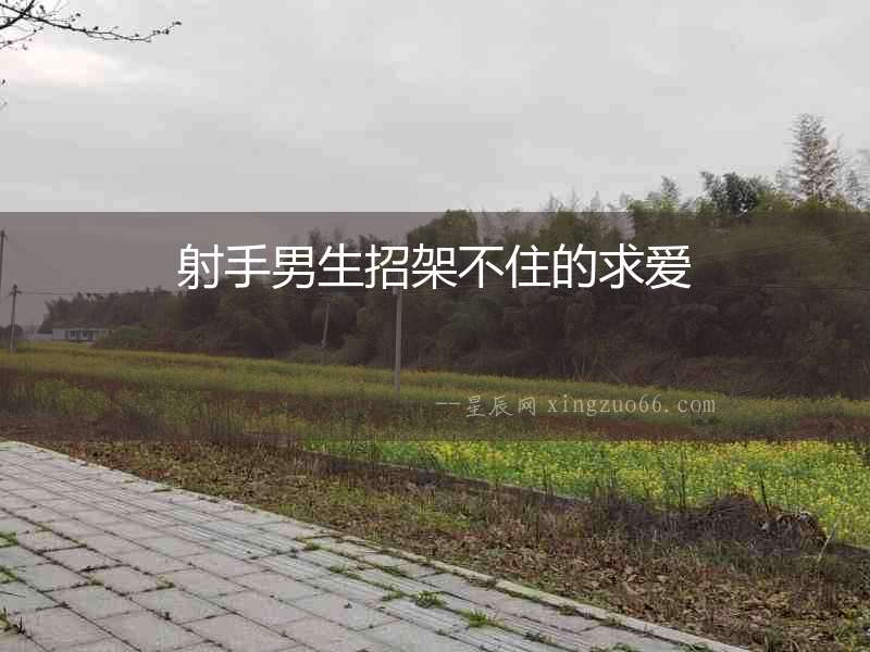 射手男生招架不住的求愛
