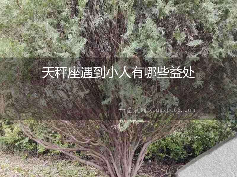 天秤座遇到小人有哪些益處