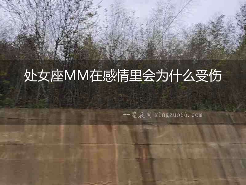 處女座MM在感情里會為什么受傷