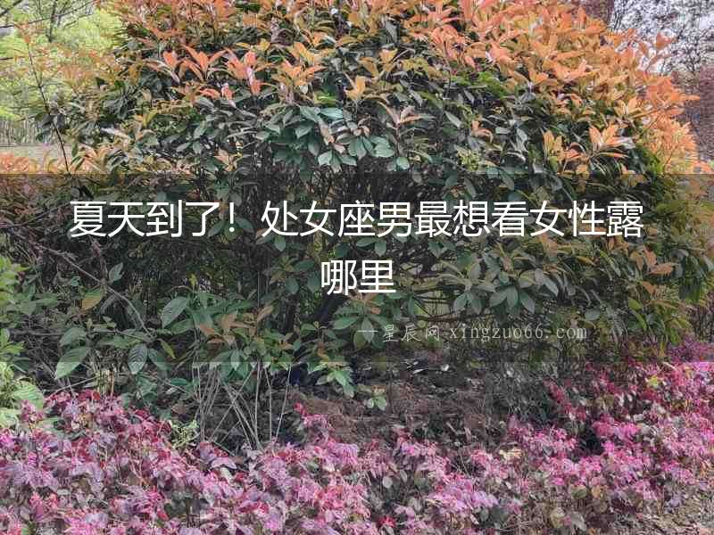 夏天到了！處女座男最想看女性露哪里