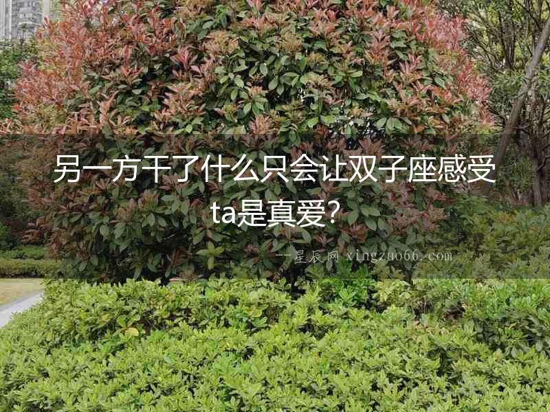 另一方干了什么只會讓雙子座感受ta是真愛？