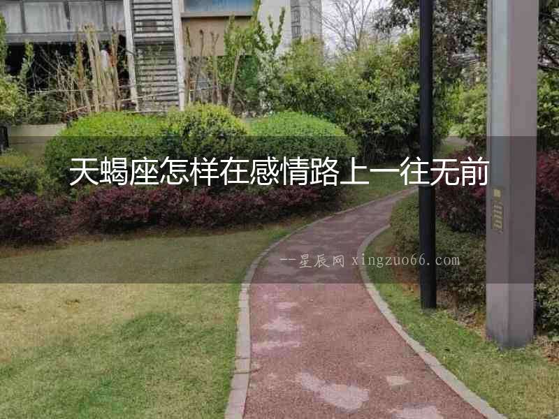 天蝎座怎樣在感情路上一往無前