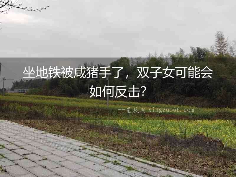 坐地鐵被咸豬手了，雙子女可能會(huì)如何反擊？