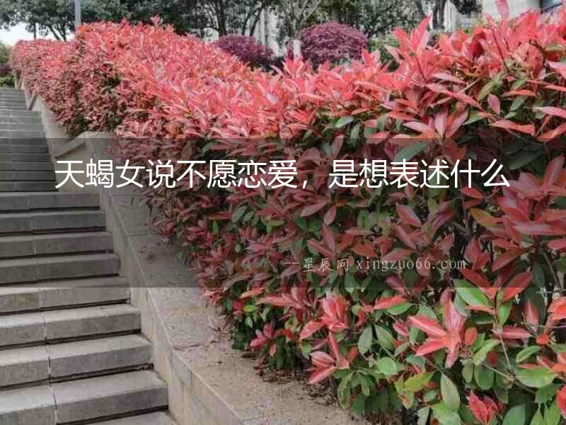 天蝎女說不愿戀愛，是想表述什么