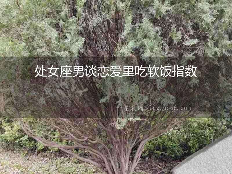 處女座男談戀愛里吃軟飯指數