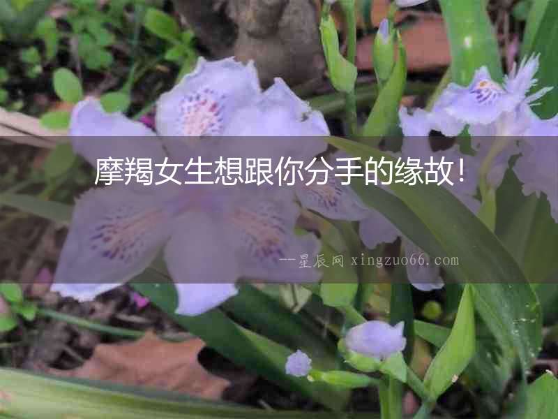 摩羯女生想跟你分手的緣故！