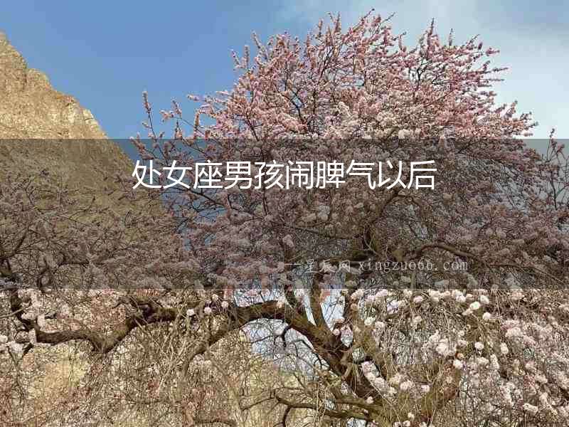 處女座男孩鬧脾氣以后