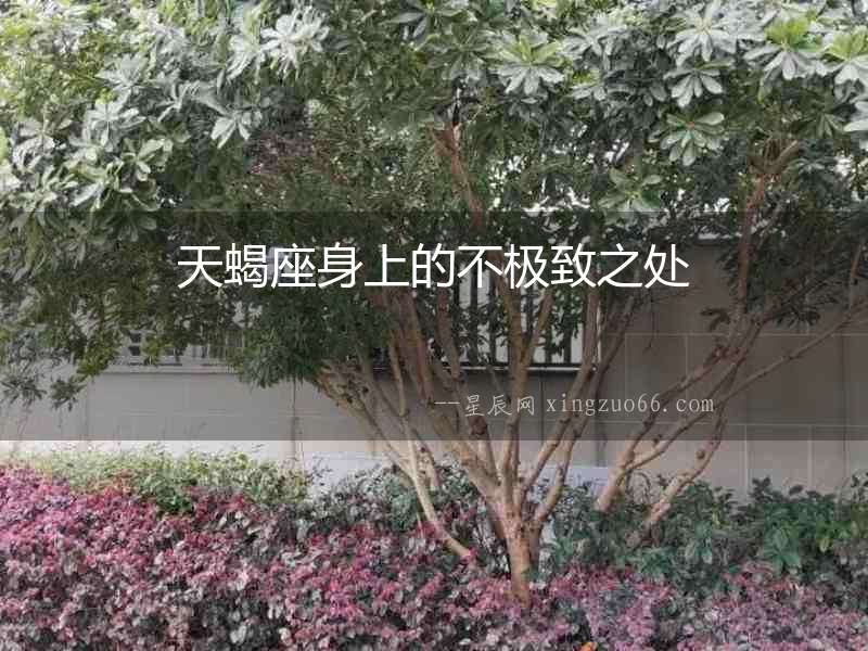 天蝎座身上的不極致之處
