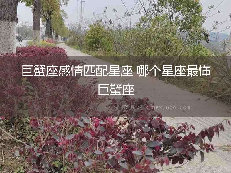巨蟹座感情匹配星座 哪個星座最懂巨蟹座