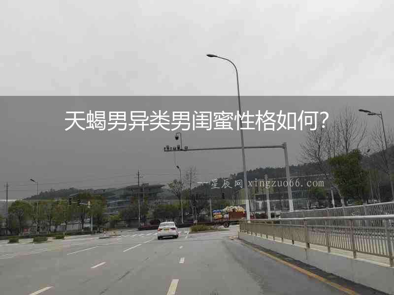 天蝎男異類男閨蜜性格如何？