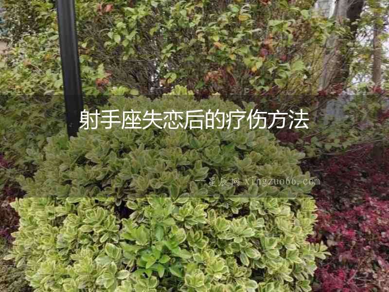 射手座失戀后的療傷方法