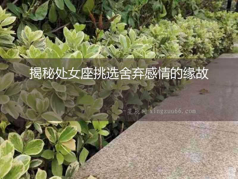 揭秘處女座挑選舍棄感情的緣故