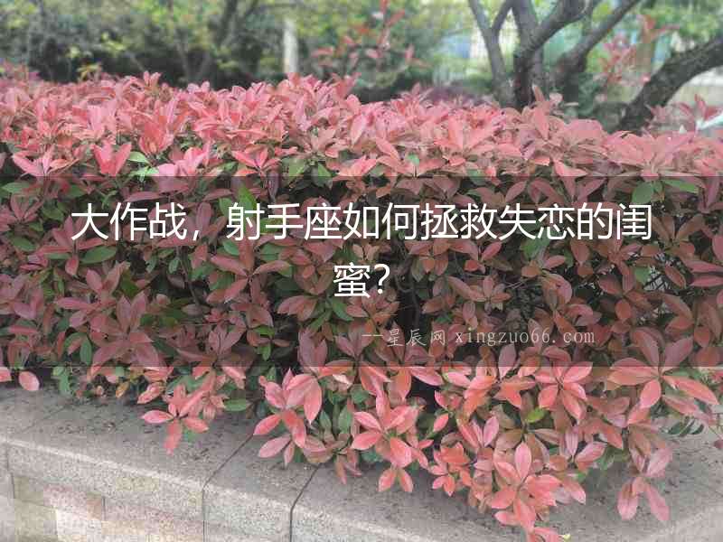 大作戰(zhàn)，射手座如何拯救失戀的閨蜜？