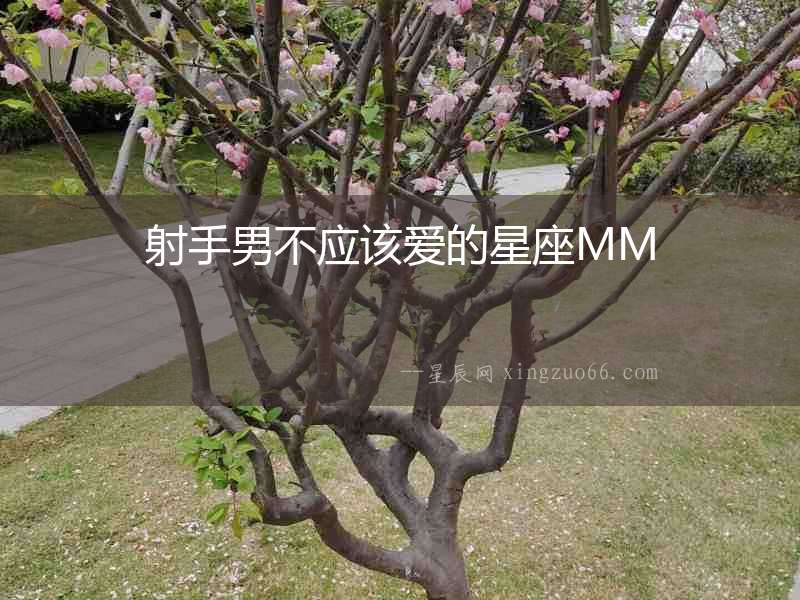 射手男不應該愛的星座MM