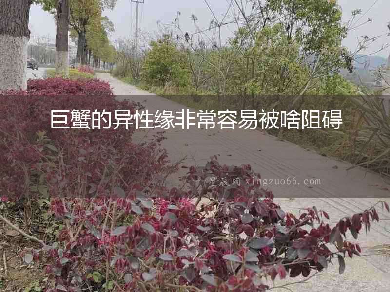 巨蟹的異性緣非常容易被啥阻礙