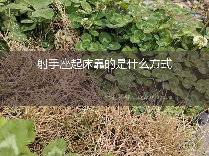 射手座起床靠的是什么方式