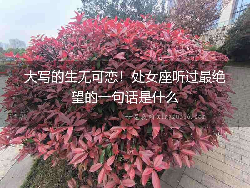 大寫的生無可戀！處女座聽過最絕望的一句話是什么