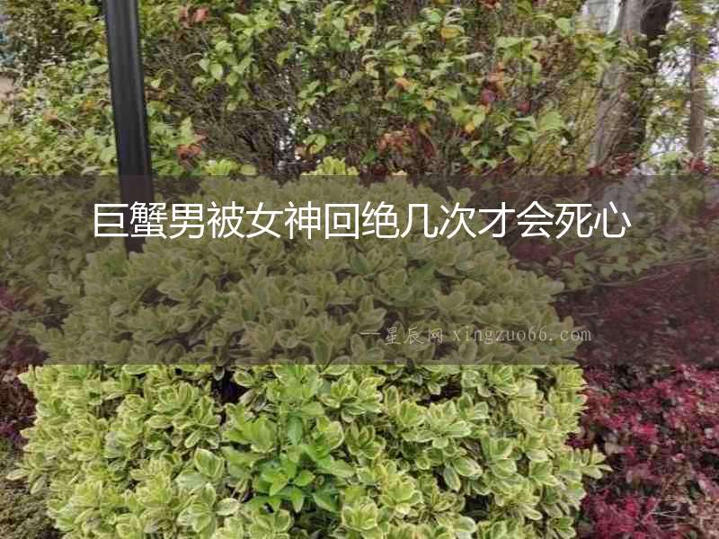 巨蟹男被女神回絕幾次才會(huì)死心