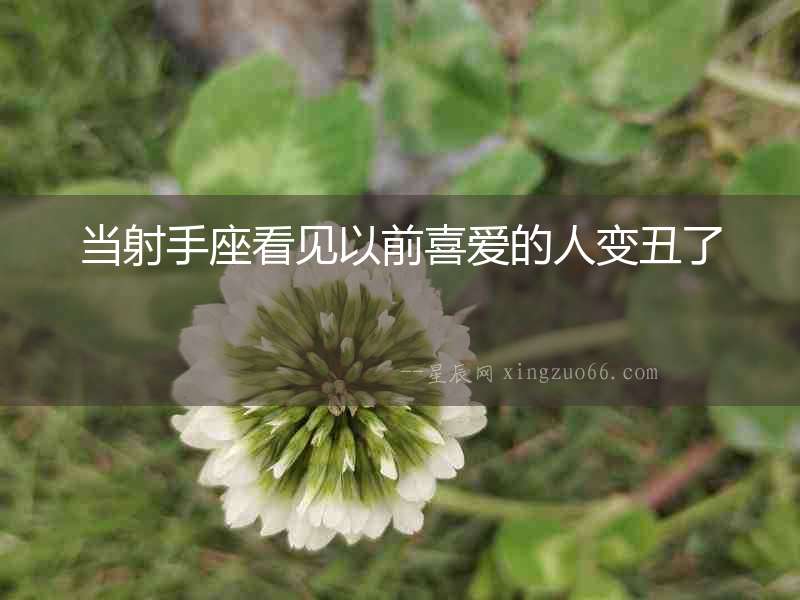 當射手座看見以前喜愛的人變丑了