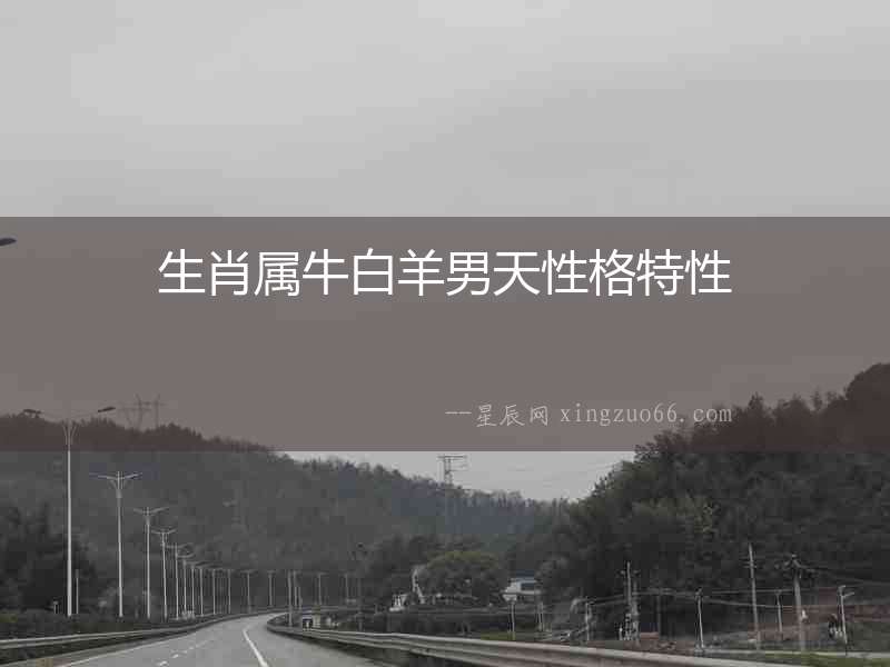 生肖屬牛白羊男天性格特性