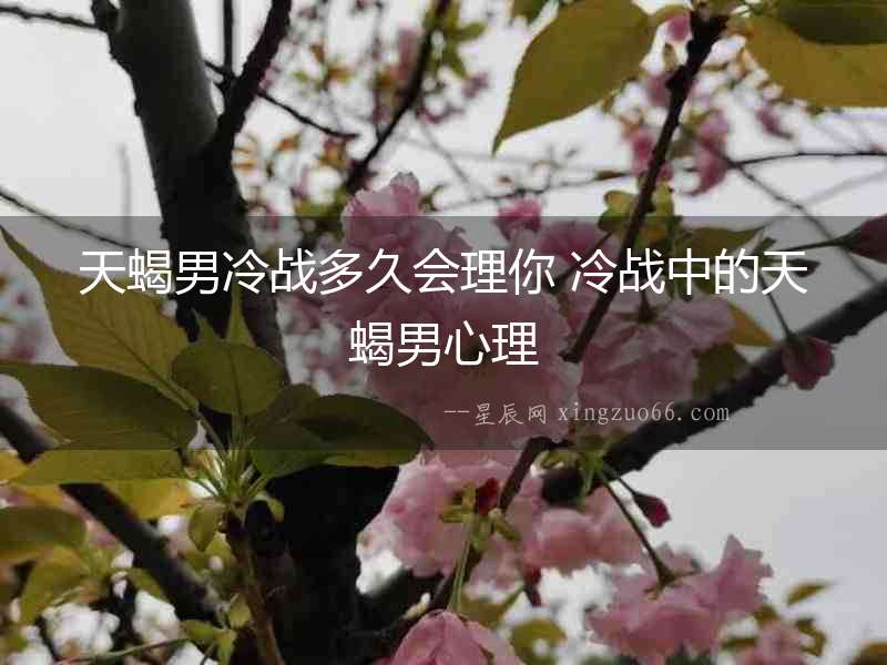 天蝎男冷戰多久會理你 冷戰中的天蝎男心理