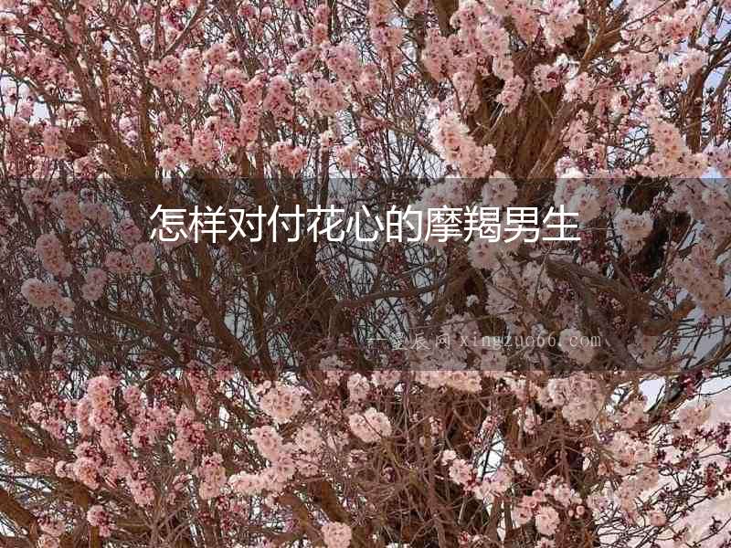 怎樣對付花心的摩羯男生