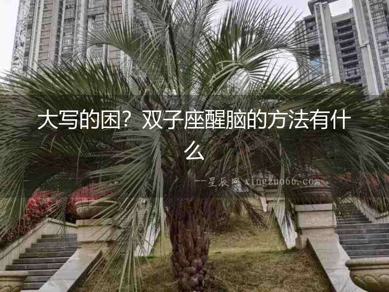 大寫的困？雙子座醒腦的方法有什么
