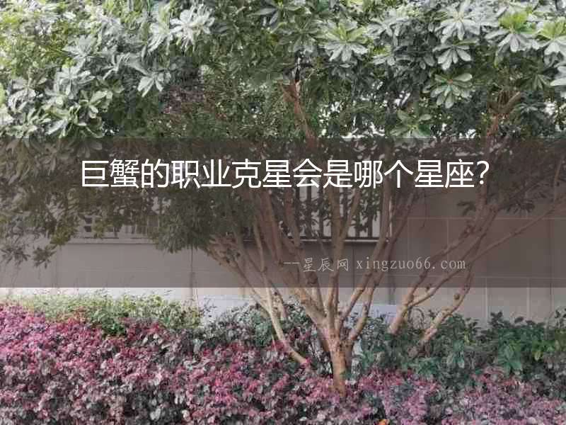 巨蟹的職業克星會是哪個星座？
