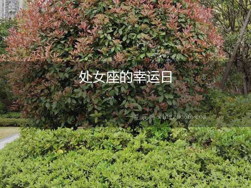 處女座的幸運日