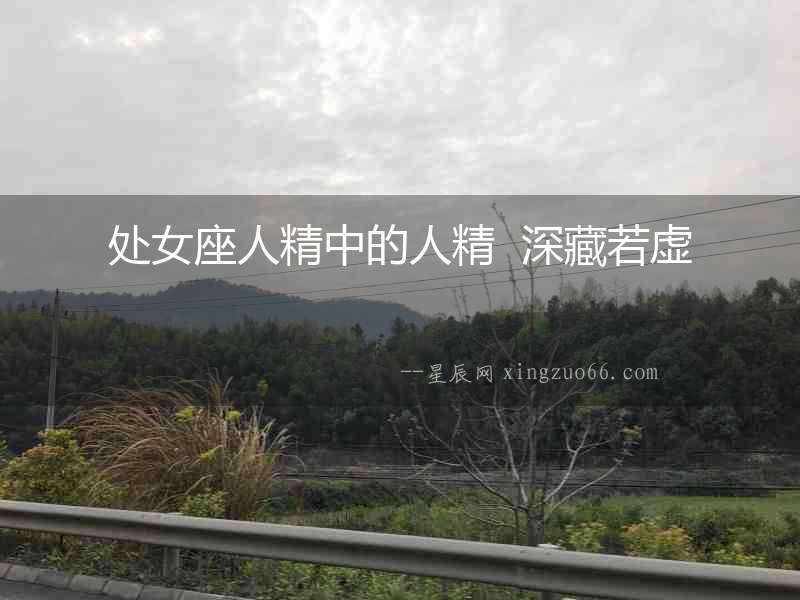 處女座人精中的人精  深藏若虛