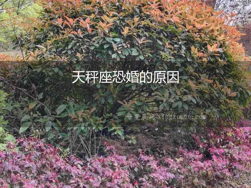 天秤座恐婚的原因
