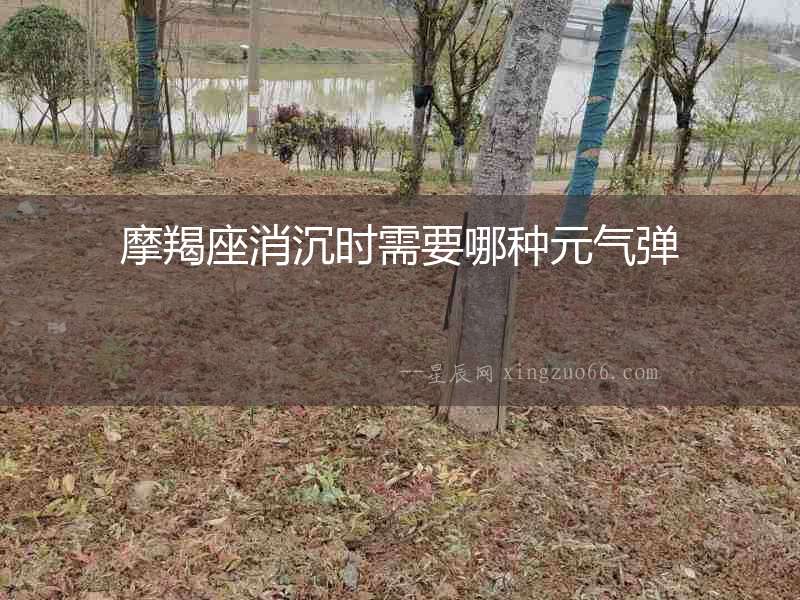 摩羯座消沉時需要哪種元氣彈