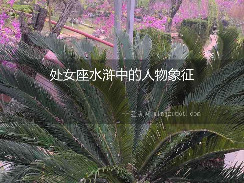 處女座水滸中的人物象征