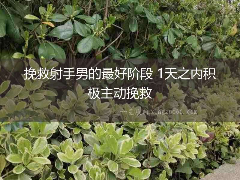 挽救射手男的最好階段 1天之內(nèi)積極主動(dòng)挽救