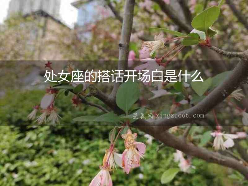 處女座的搭話開(kāi)場(chǎng)白是什么
