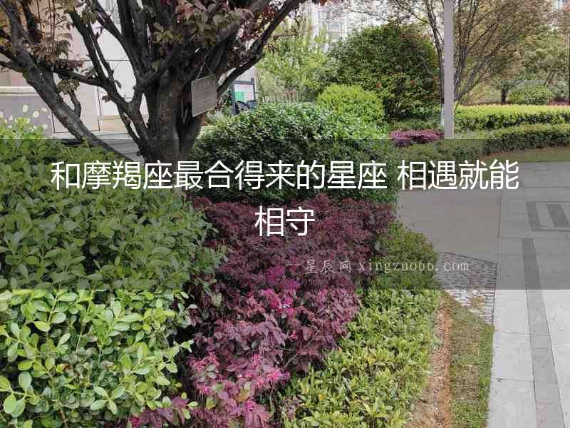 和摩羯座最合得來的星座 相遇就能相守