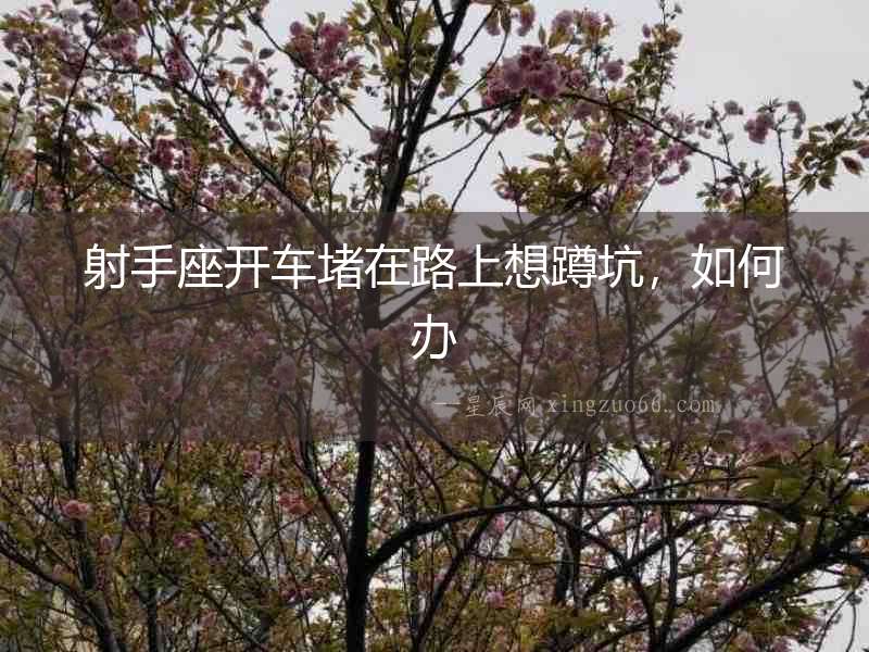 射手座開車堵在路上想蹲坑，如何辦