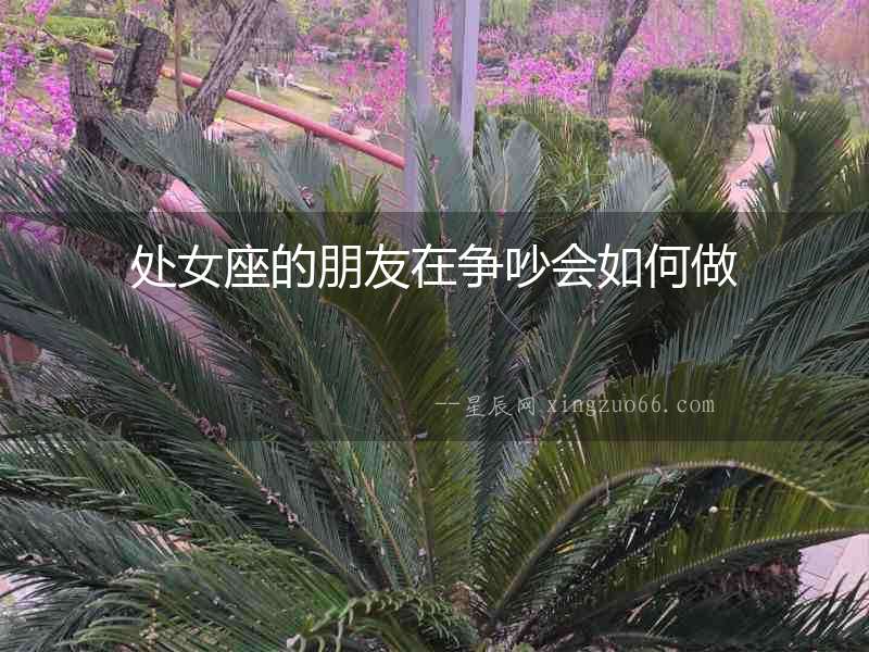 處女座的朋友在爭吵會如何做