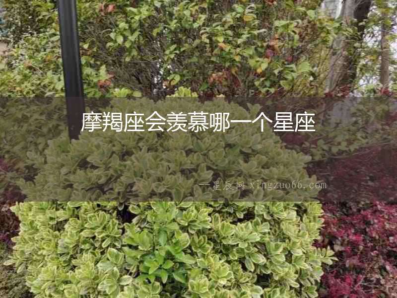 摩羯座會羨慕哪一個星座