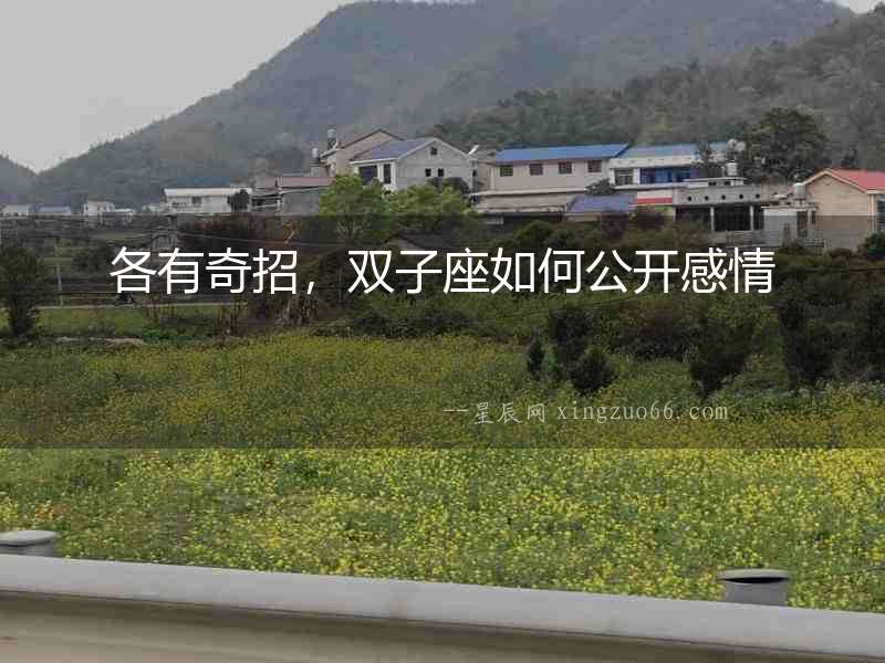 各有奇招，雙子座如何公開感情