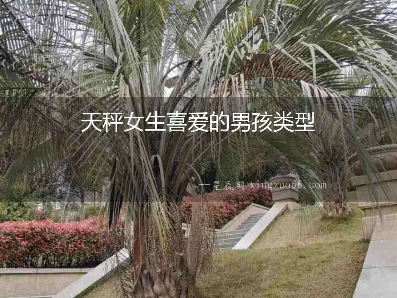 天秤女生喜愛的男孩類型